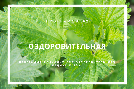 Оздоровительная программа
